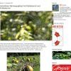 Herbstlicher Marmorguglhupf mit Kürbiskernöl aus Österreich und Kürbiskernen